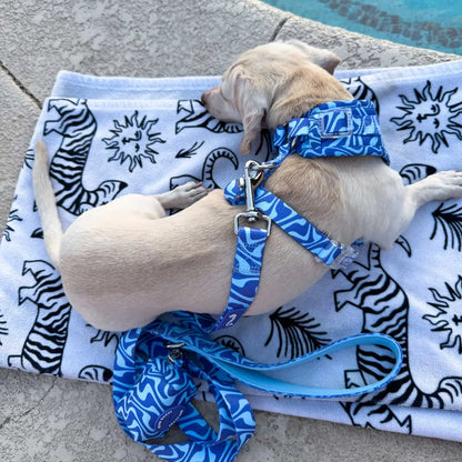 Adjustable Dog Harness - Retro Swim Club Collection Featuring Custom Neoprene Fabric and Breathable Mesh for Enhanced Comfort