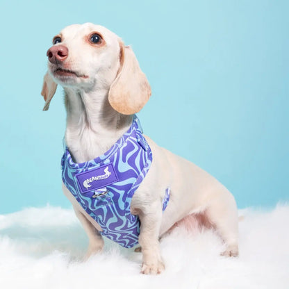 Adjustable Dog Harness - Retro Swim Club Collection Featuring Custom Neoprene Fabric and Breathable Mesh for Enhanced Comfort