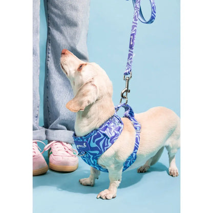 Adjustable Dog Harness - Retro Swim Club Collection Featuring Custom Neoprene Fabric and Breathable Mesh for Enhanced Comfort