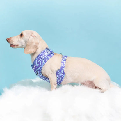Adjustable Dog Harness - Retro Swim Club Collection Featuring Custom Neoprene Fabric and Breathable Mesh for Enhanced Comfort